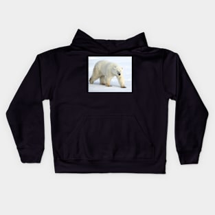 Large Male Polar Bear on the Tundra, Churchill, Canada Kids Hoodie